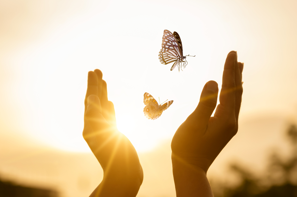 Image of butterflies and hands